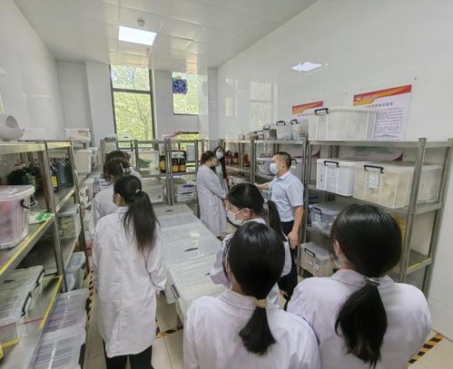 濮陽醫專與陽江西點學校共推學生監督食堂模式，守護校園飲食安全